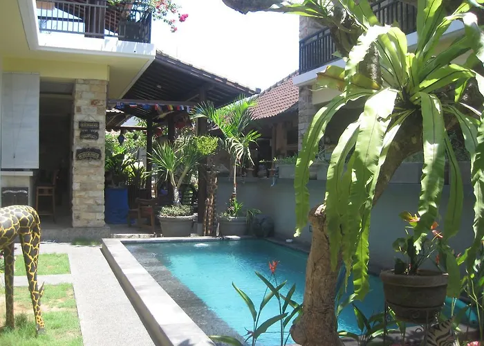 The Duck Guest house