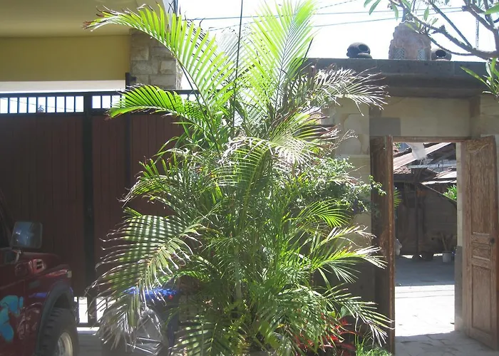 Guest house The Duck 2*