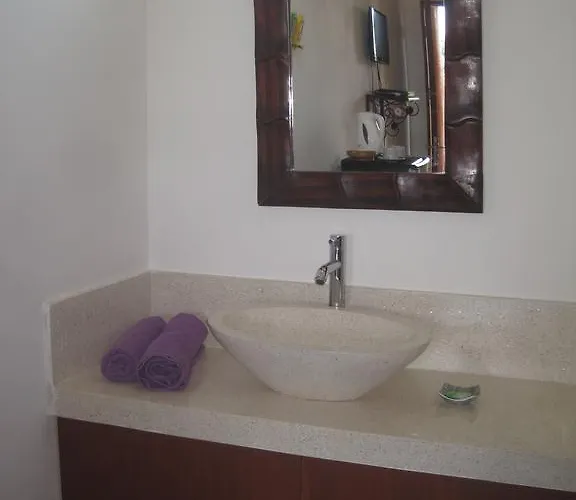 The Duck Guest house Sanur (Bali)