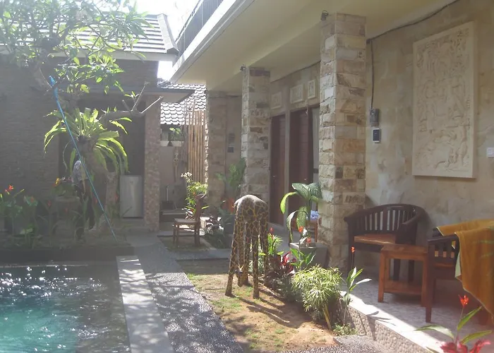 The Duck Guest house