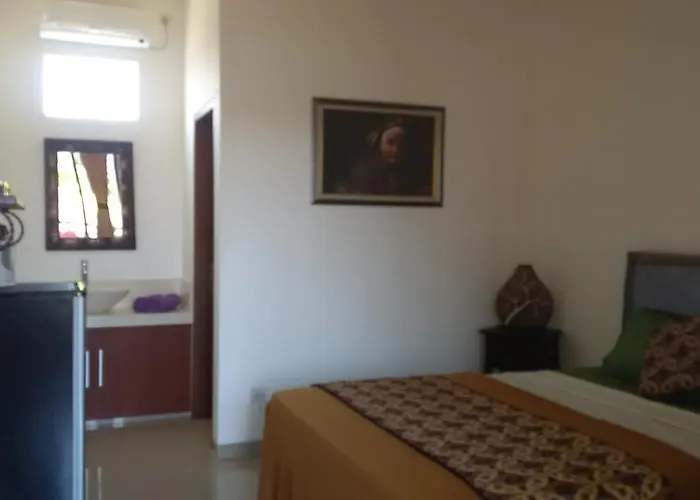 The Duck Guest house